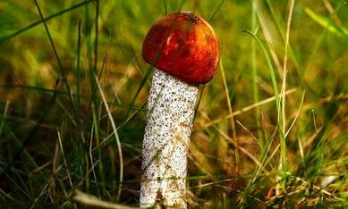 Rêbazên bi bandor ji bo zêdekirina serê penêr